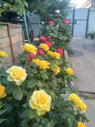 Дача 32 м² на участке 6 сот.