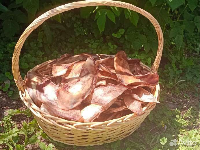 Лакомства для собак