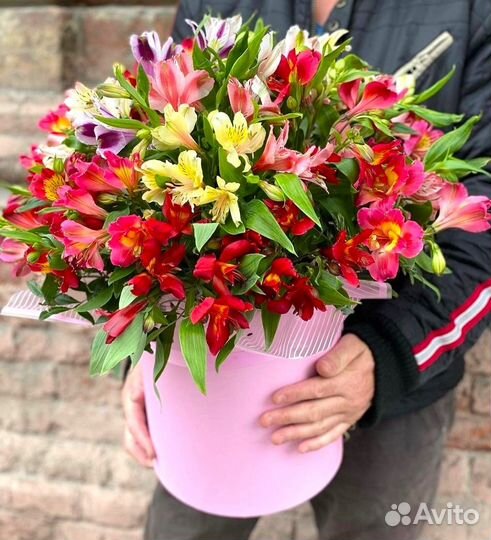 Шикарные Альстромерии. Быстрая Доставка Цветов