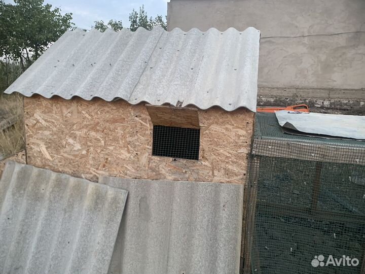 Курятник вместе с курями