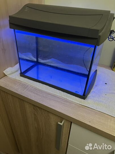 Аквариум