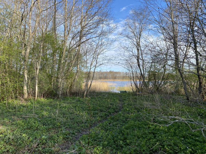 Участок 15 сот. (ИЖС)