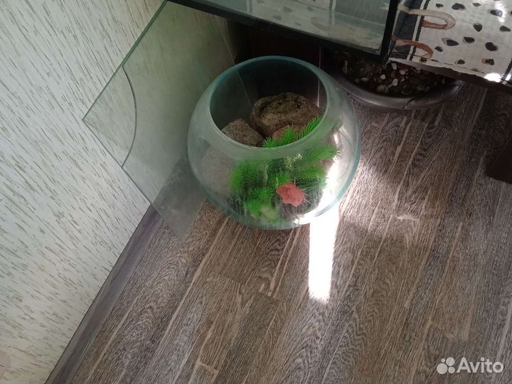 Аквариум