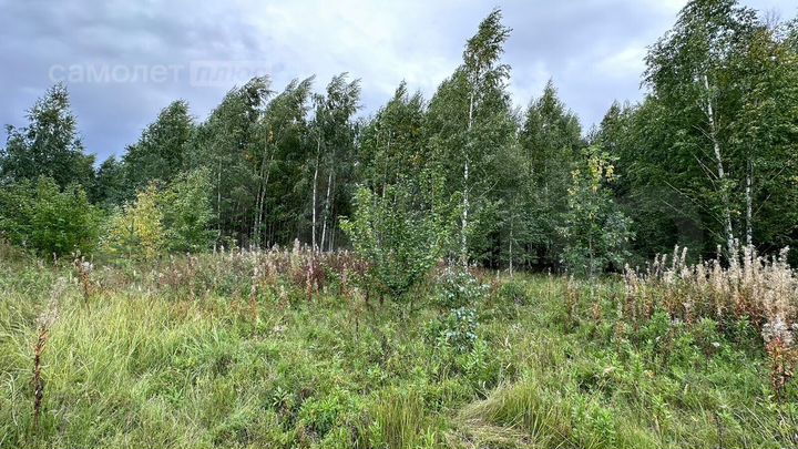 Участок 10 сот. (ИЖС)