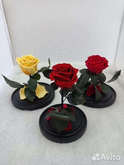 Роза в колбе оптом и в розницу