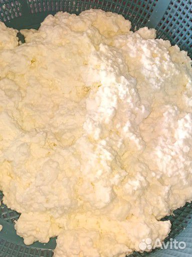 Молочные продукты, яйцо куриное