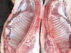 Мясо свинины (дюрок ландрас) живой вес