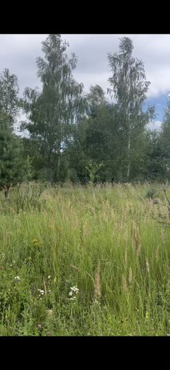 Участок 1,5 га (СНТ, ДНП)