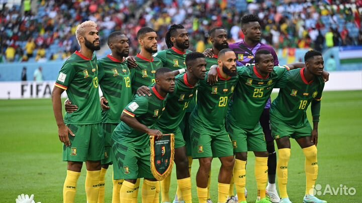 Билеты на футбол. Центр.Россия - Камерун. 12.10