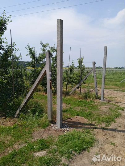 Столбы бетонные(шпалеры)