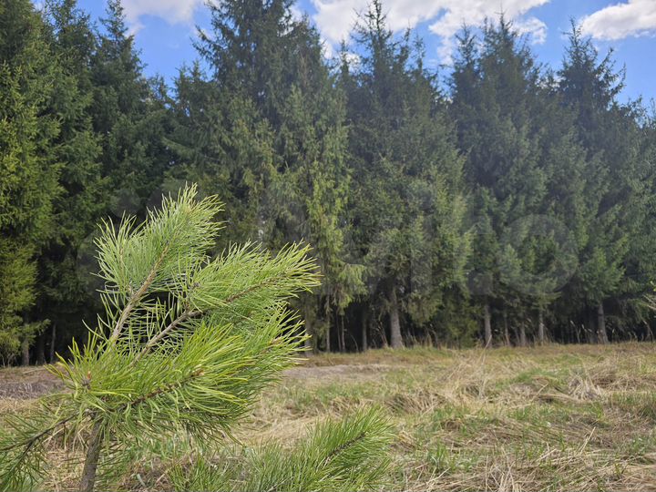 Участок 9,4 сот. (ИЖС)