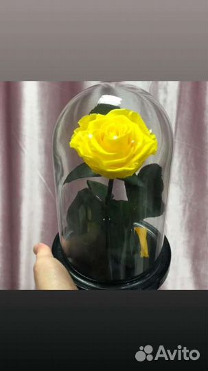 Роза в колбе