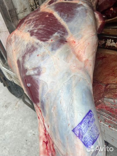 Мясо свинина, говядина, конина, телятина деревенск