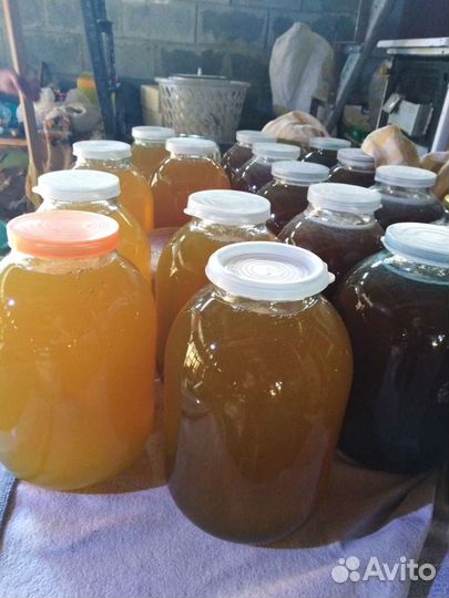 Мёд башкирский