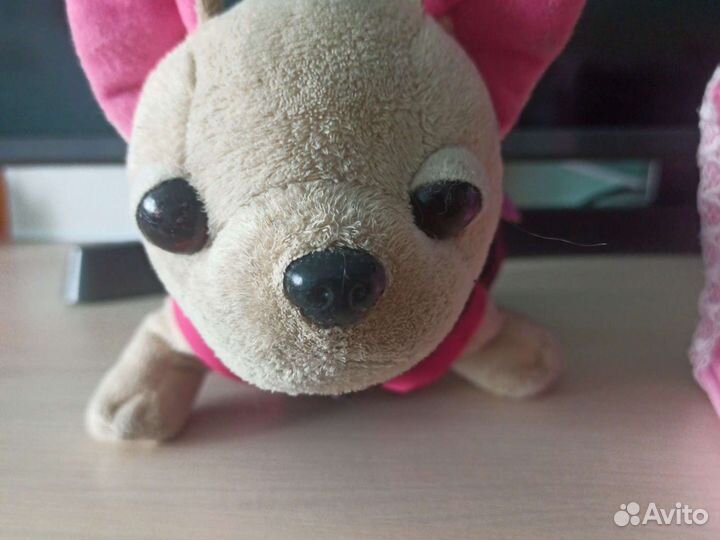 Собачка Chi Chi Love Вампирчик в платье