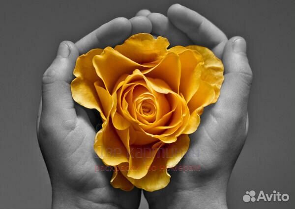 Алмазная мозаика 30x40 Желтая роза в руках