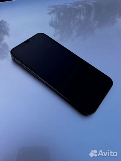 Apple iPhone 12 pro max