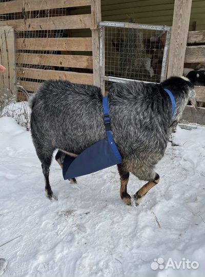 Фартук для козлов Барьер с ребром жесткости