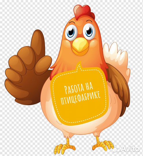 Работа на птицефабрике 15/15