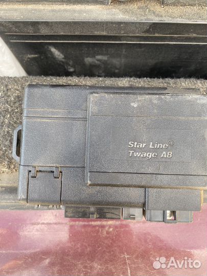 Мозги старлайн