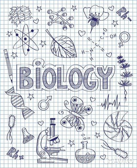 Репетитор по биологии егэ, огэ.Разбор тем