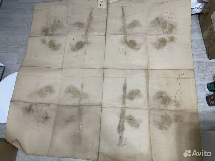 Кастенная карта политического устройства европы 19