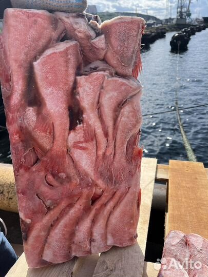 Окунь морской 150-300 и 300-500