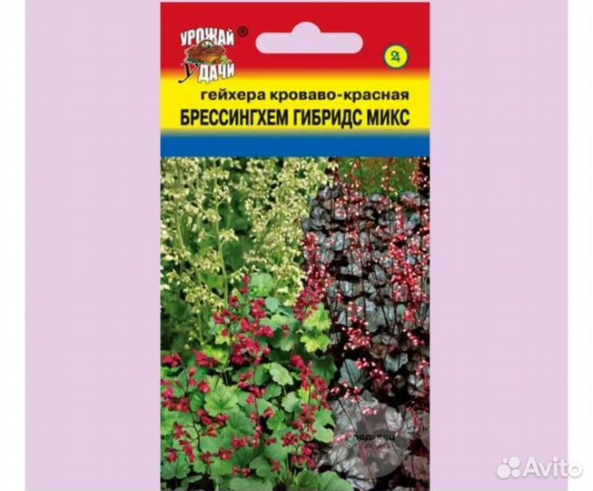 Растения гейхера