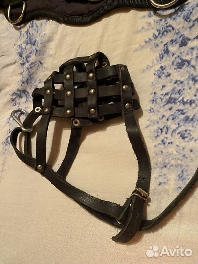 Шлейка для собаки и намордник