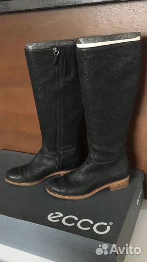 Сапоги Ecco демисезонные