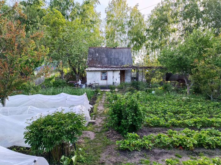 Дача 20 м² на участке 4,1 сот.