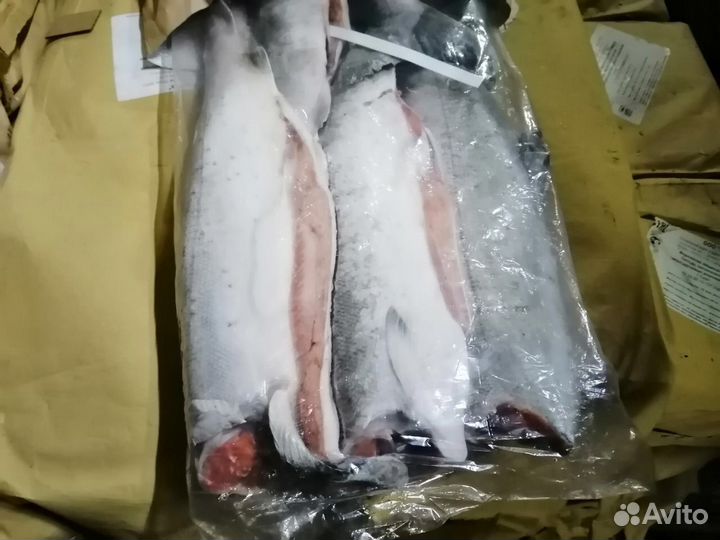 Свежая рыба