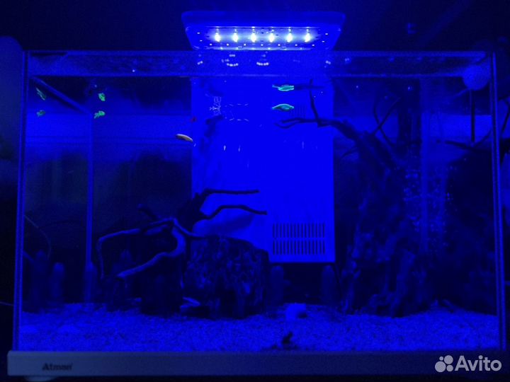 Аквариум с рыбками