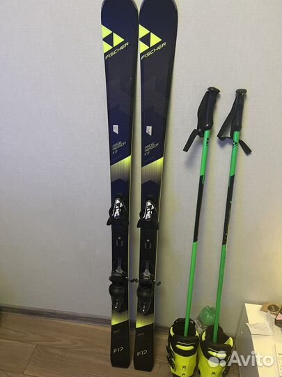 Горные лыжи