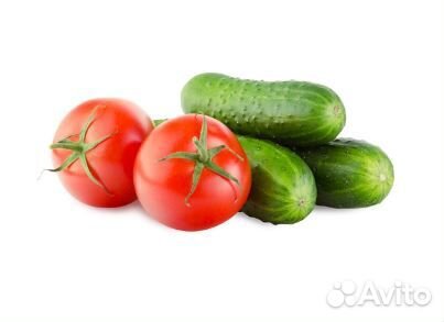 Рабочий в теплицу без опыта