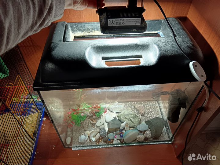 Аквариумы 60 и 35л