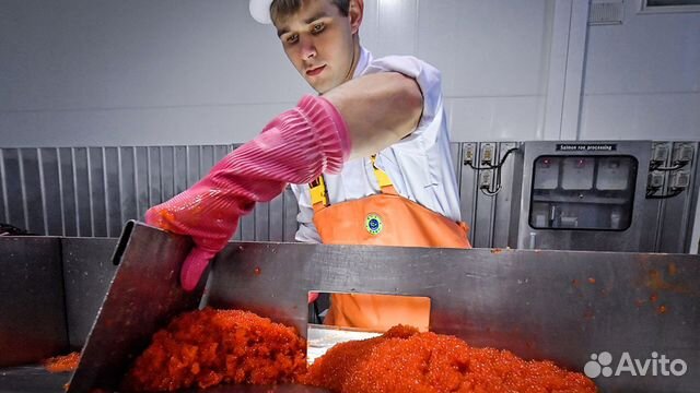 Сортировщик(ца) черной икры.вахта.москва