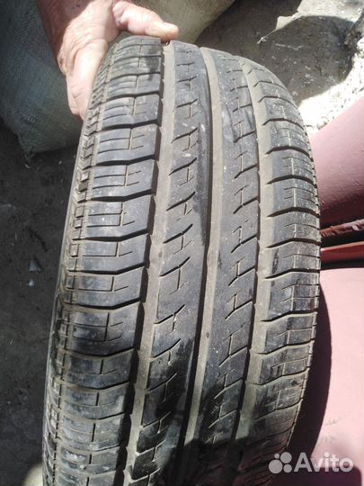 Continental AllSeasonContact 185