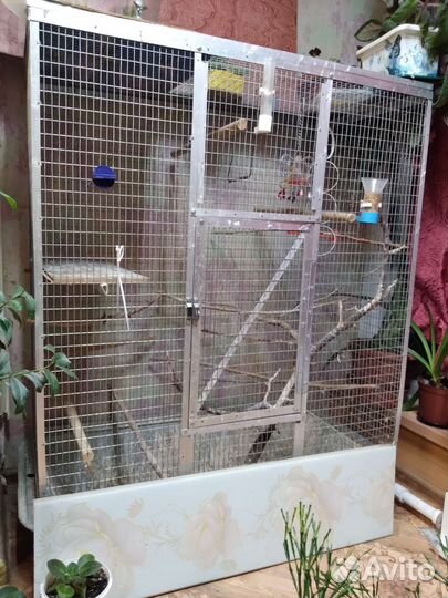 Клетки для волнистых попугаев