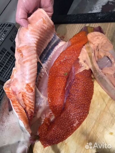 Свежая форель