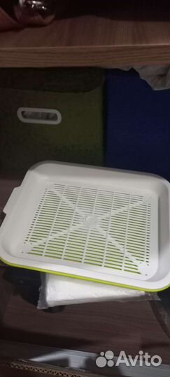 Для котят