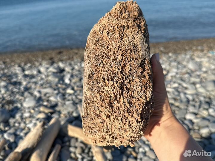 Реквизит для фото Коряга дрифтвуд