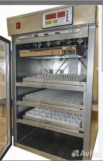 Инкубатор Аи-264, брудер