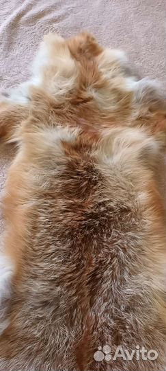 Лисья шкура