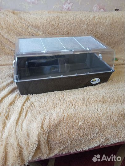 Клетка, Дюна