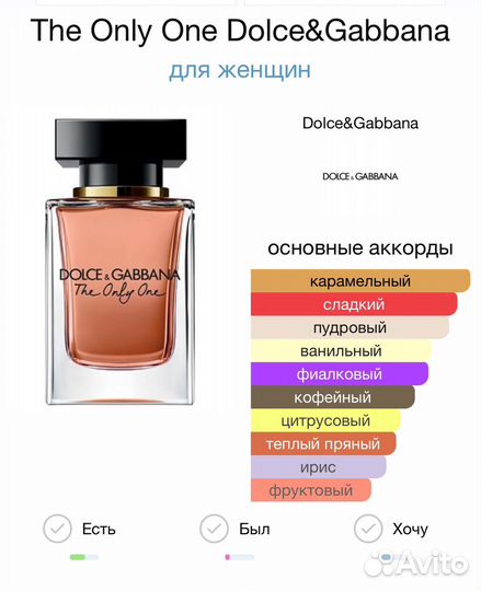 Dolce gabbana the only one