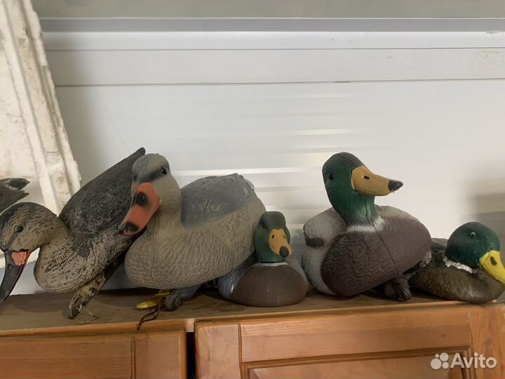 Чучела гусей для охоты и уток