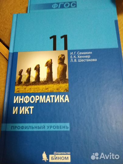 Информатика 11 класс Семакин профильный уровень