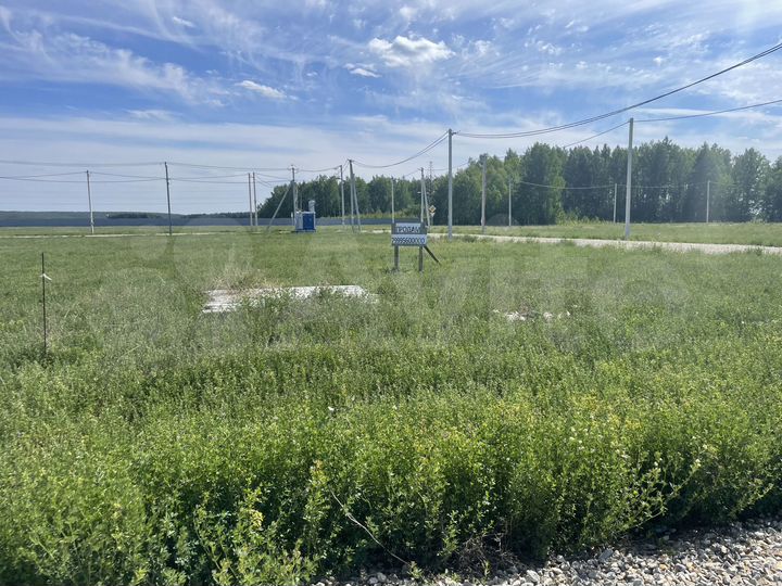 Участок 6,3 сот. (СНТ, ДНП)