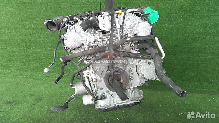 Двигатель VQ35HR 3.5 Nissan Fuga Y51